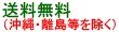 送料無料(先払いのみ)